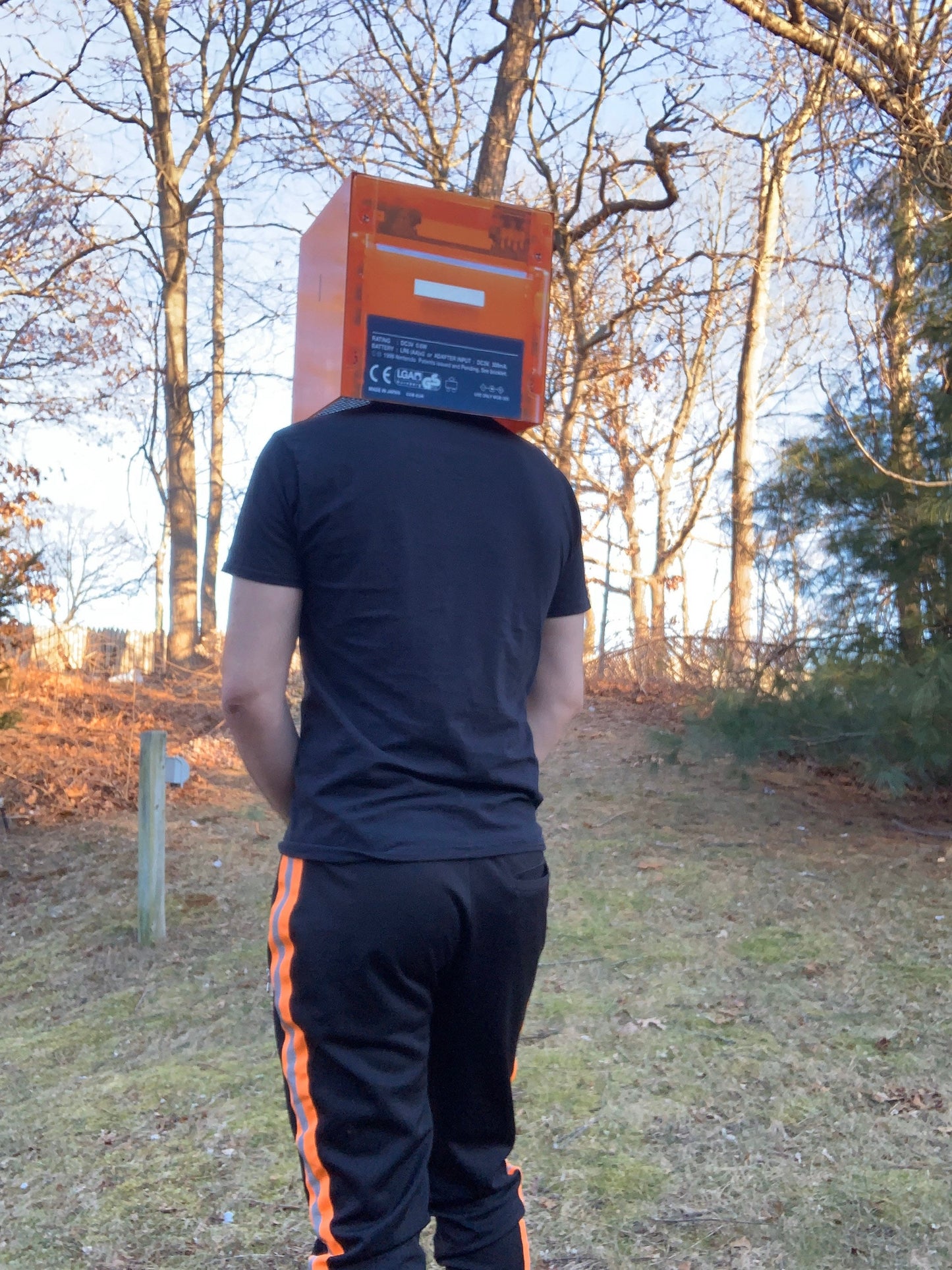 Game boy helmet