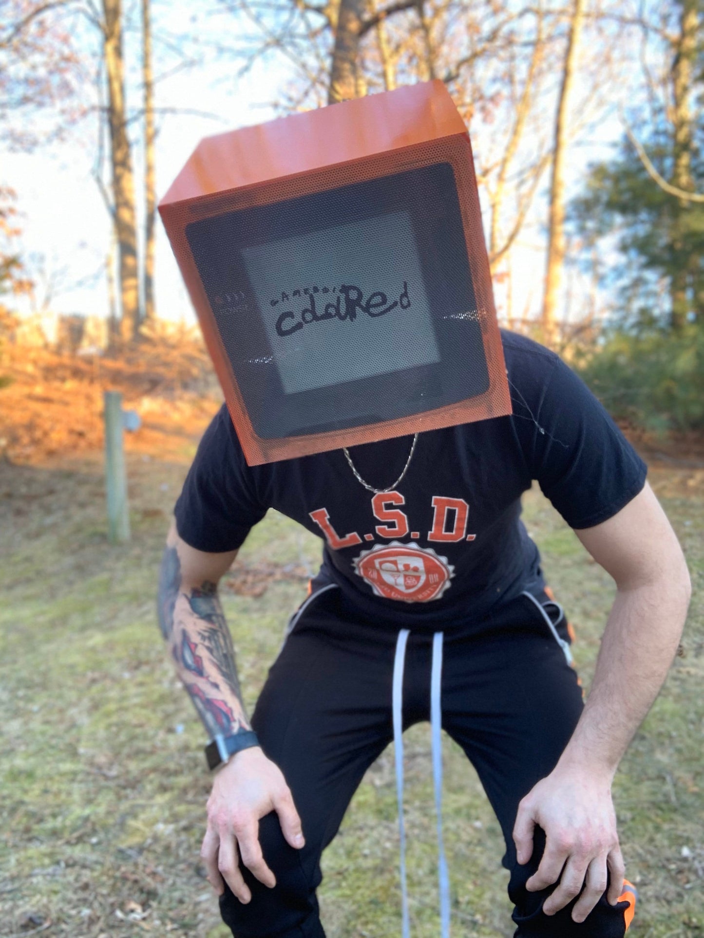 Game boy helmet